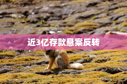 近3亿存款悬案反转