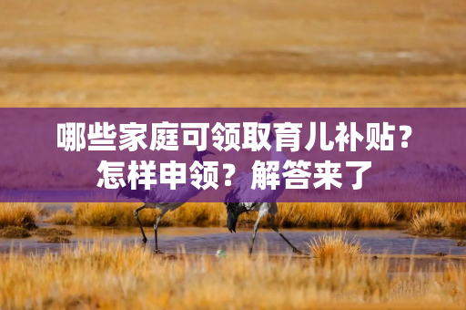 哪些家庭可领取育儿补贴？怎样申领？解答来了
