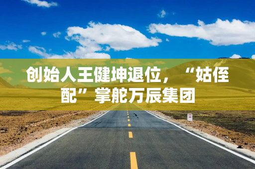 创始人王健坤退位，“姑侄配”掌舵万辰集团
