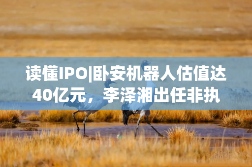 读懂IPO|卧安机器人估值达40亿元，李泽湘出任非执行董事，近三年亏损收窄