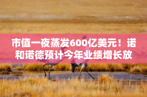 市值一夜蒸发600亿美元！诺和诺德预计今年业绩增长放缓，急换CEO能力挽狂澜？