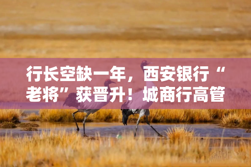 行长空缺一年，西安银行“老将”获晋升！城商行高管变阵，“准80后”也来了