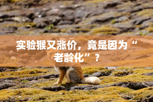 实验猴又涨价，竟是因为“老龄化”？