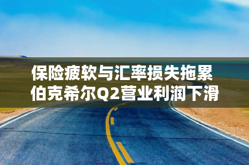 保险疲软与汇率损失拖累 伯克希尔Q2营业利润下滑 并警告关税风险
