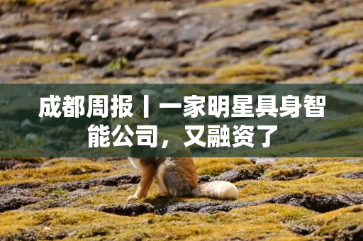 成都周报丨一家明星具身智能公司，又融资了