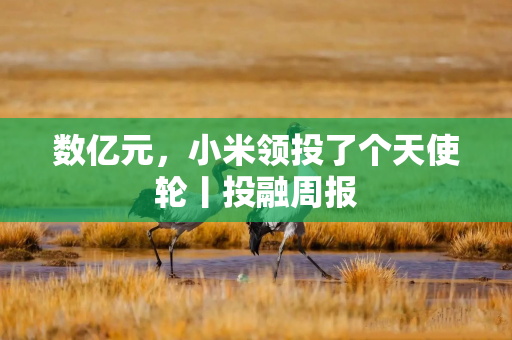 数亿元，小米领投了个天使轮丨投融周报