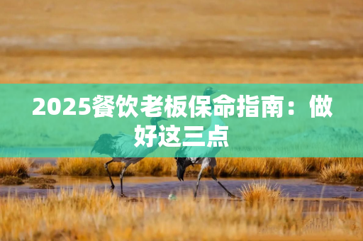 2025餐饮老板保命指南：做好这三点