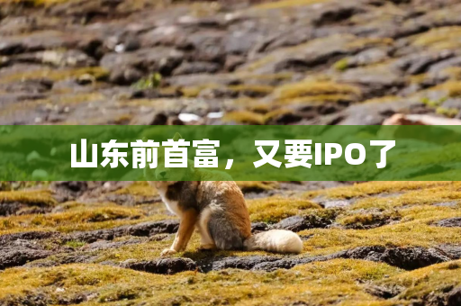 山东前首富，又要IPO了