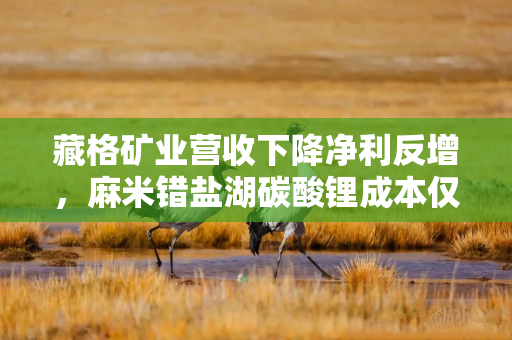 藏格矿业营收下降净利反增，麻米错盐湖碳酸锂成本仅3.10万/吨