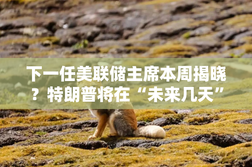 下一任美联储主席本周揭晓？特朗普将在“未来几天”填补理事空位