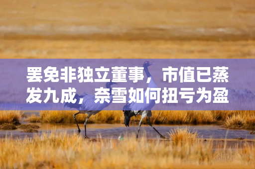 罢免非独立董事，市值已蒸发九成，奈雪如何扭亏为盈？