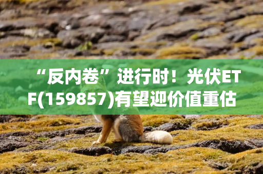 “反内卷”进行时！光伏ETF(159857)有望迎价值重估