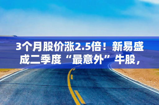 3个月股价涨2.5倍！新易盛成二季度“最意外”牛股，明星基金扎堆抄底
