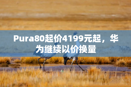 Pura80起价4199元起，华为继续以价换量