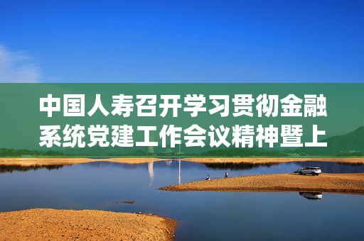 中国人寿召开学习贯彻金融系统党建工作会议精神暨上半年经管工作会议