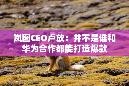 岚图CEO卢放：并不是谁和华为合作都能打造爆款