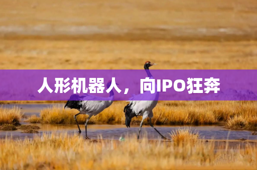 人形机器人，向IPO狂奔