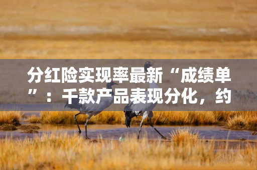 分红险实现率最新“成绩单”：千款产品表现分化，约2成实现率冲线100%