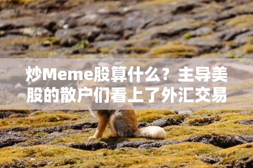 炒Meme股算什么？主导美股的散户们看上了外汇交易，杠杆高达500:1！