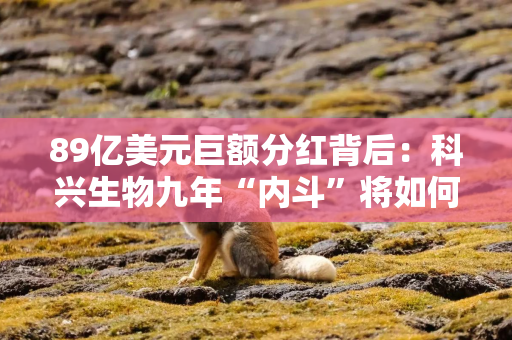 89亿美元巨额分红背后：科兴生物九年“内斗”将如何收场？