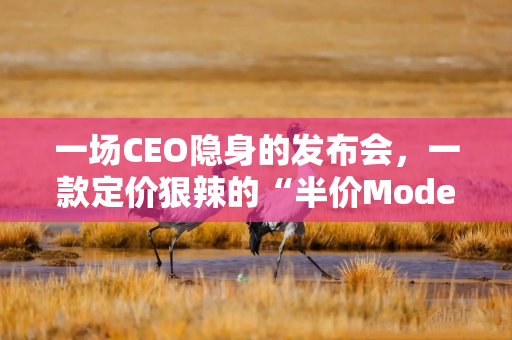 一场CEO隐身的发布会，一款定价狠辣的“半价Model 3”