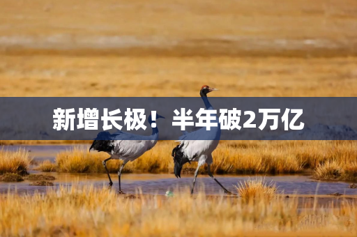 新增长极！半年破2万亿