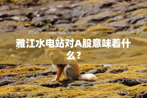 雅江水电站对A股意味着什么？