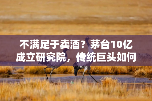 不满足于卖酒？茅台10亿成立研究院，传统巨头如何“酿”科技？