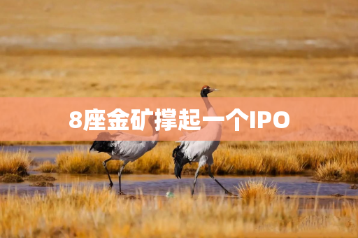 8座金矿撑起一个IPO
