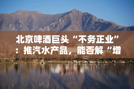 北京啤酒巨头“不务正业”：推汽水产品，能否解“增收”之渴？