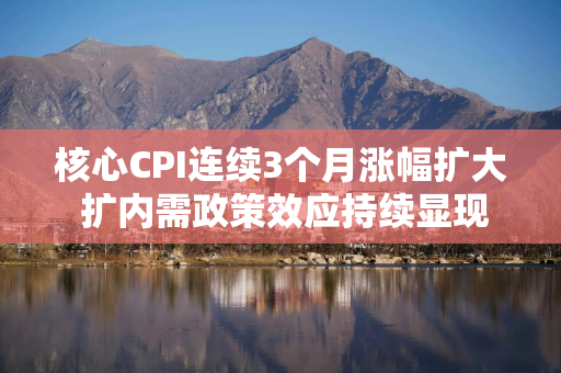 核心CPI连续3个月涨幅扩大 扩内需政策效应持续显现