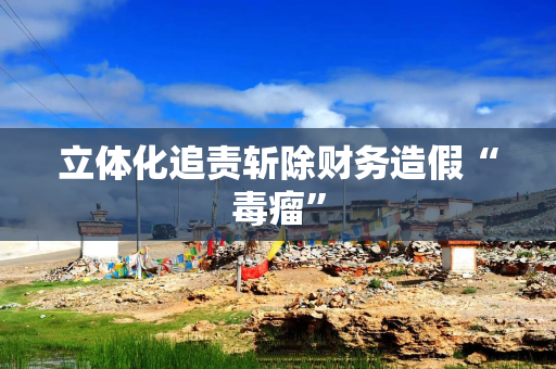 立体化追责斩除财务造假“毒瘤”