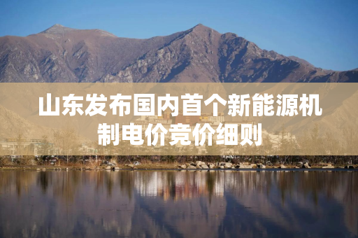 山东发布国内首个新能源机制电价竞价细则