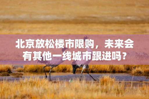 北京放松楼市限购，未来会有其他一线城市跟进吗？
