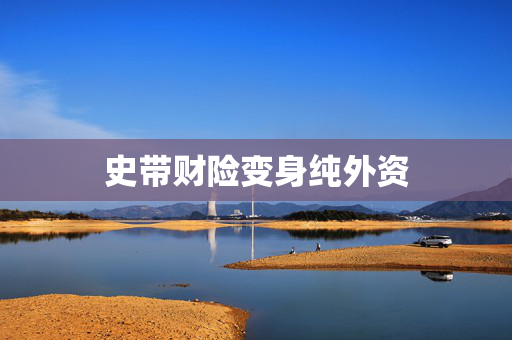 史带财险变身纯外资