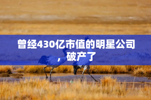 曾经430亿市值的明星公司，破产了