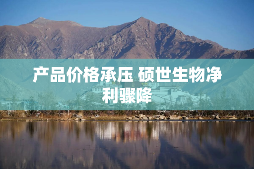 产品价格承压 硕世生物净利骤降