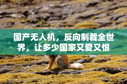 国产无人机，反向制裁全世界，让多少国家又爱又恨