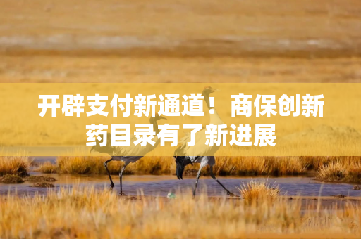 开辟支付新通道！商保创新药目录有了新进展