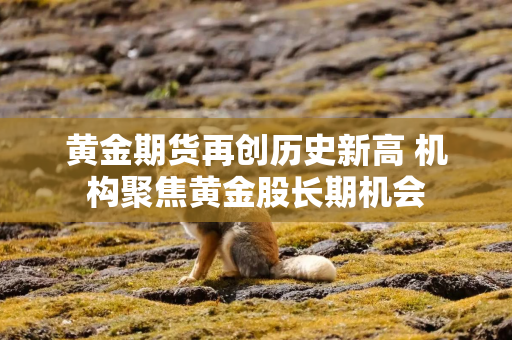 黄金期货再创历史新高 机构聚焦黄金股长期机会