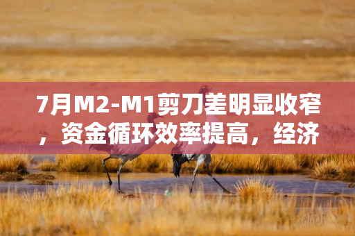 7月M2-M1剪刀差明显收窄，资金循环效率提高，经济回暖提升