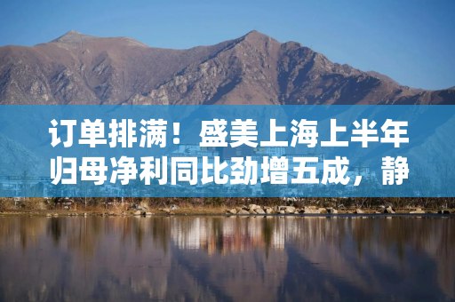 订单排满！盛美上海上半年归母净利同比劲增五成，静待业务多点开花