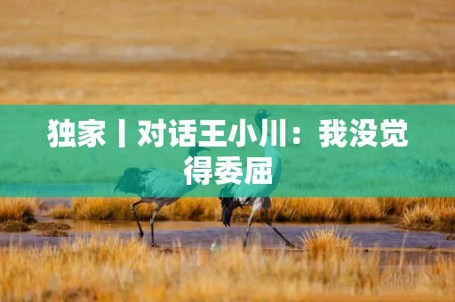 独家丨对话王小川：我没觉得委屈