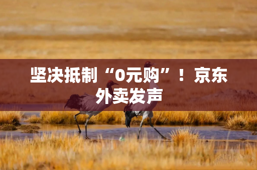 坚决抵制“0元购”！京东外卖发声