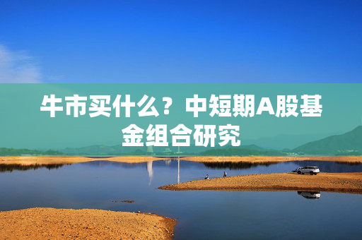 牛市买什么？中短期A股基金组合研究