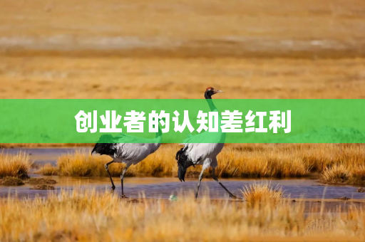 创业者的认知差红利