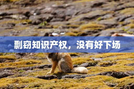 剽窃知识产权，没有好下场