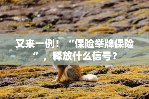 又来一例！“保险举牌保险”，释放什么信号？