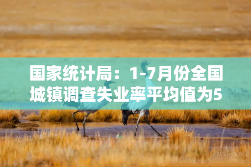 国家统计局：1-7月份全国城镇调查失业率平均值为5.2%