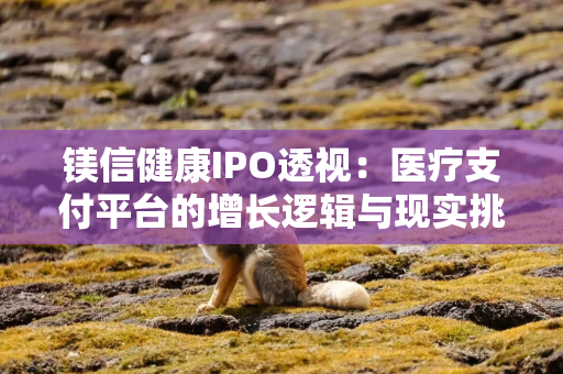 镁信健康IPO透视：医疗支付平台的增长逻辑与现实挑战